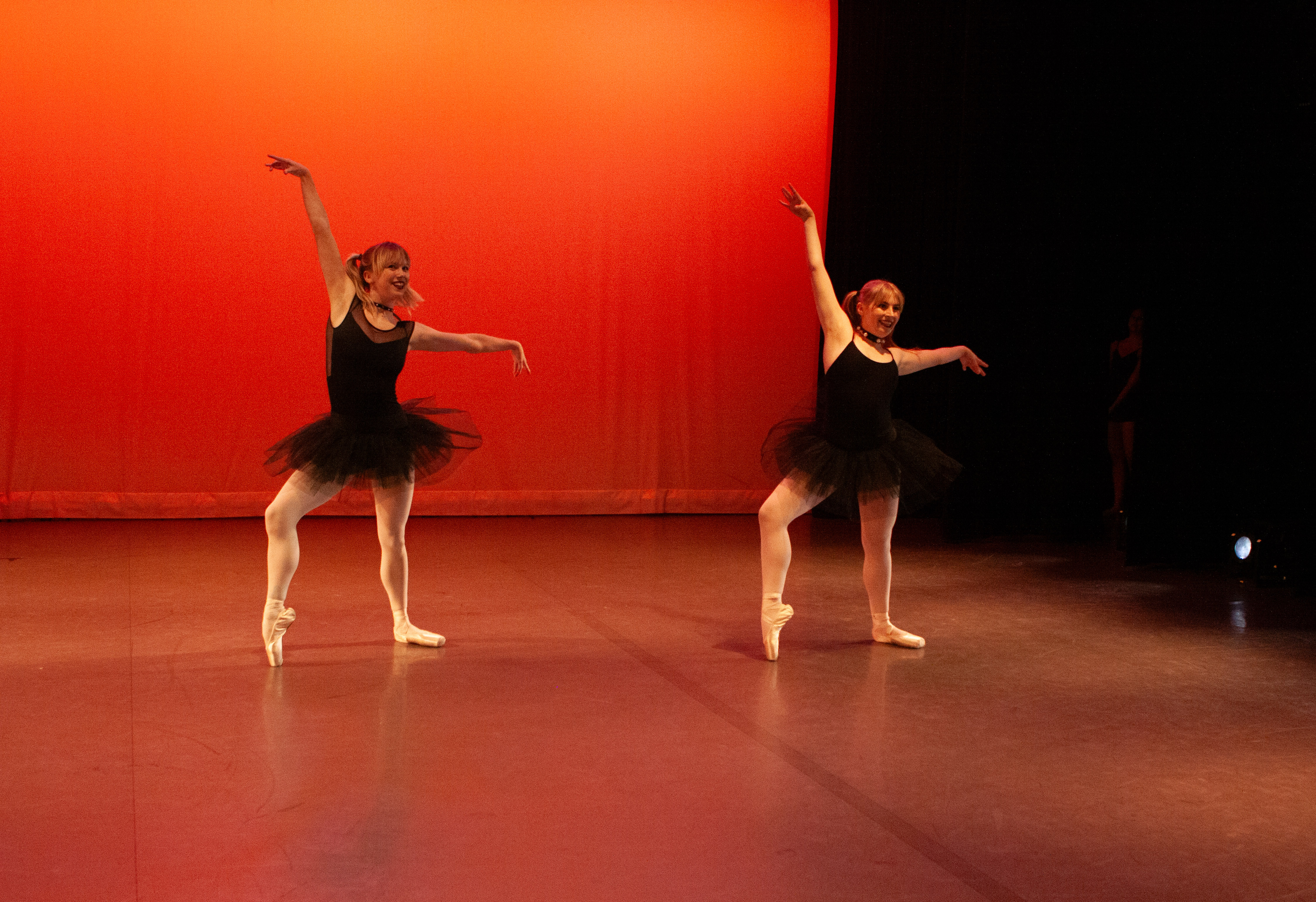 Fundraiser Image 12
